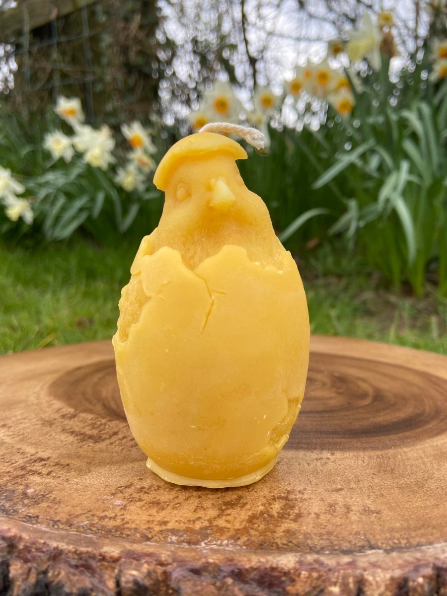 Chick Candle - A Welsh Secret - A Welsh Secret - Gwenyn Gruffydd - -