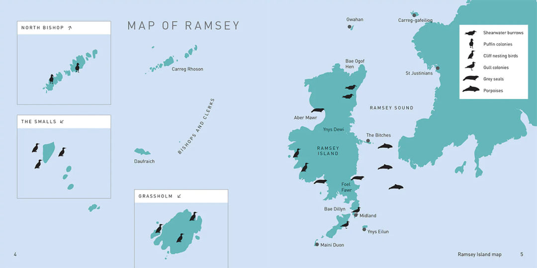 Ramsey Island - A Welsh Secret - Graffeg - Books - -